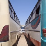 Bunt bemalte Busse transportieren uns in alle Teile des Landes