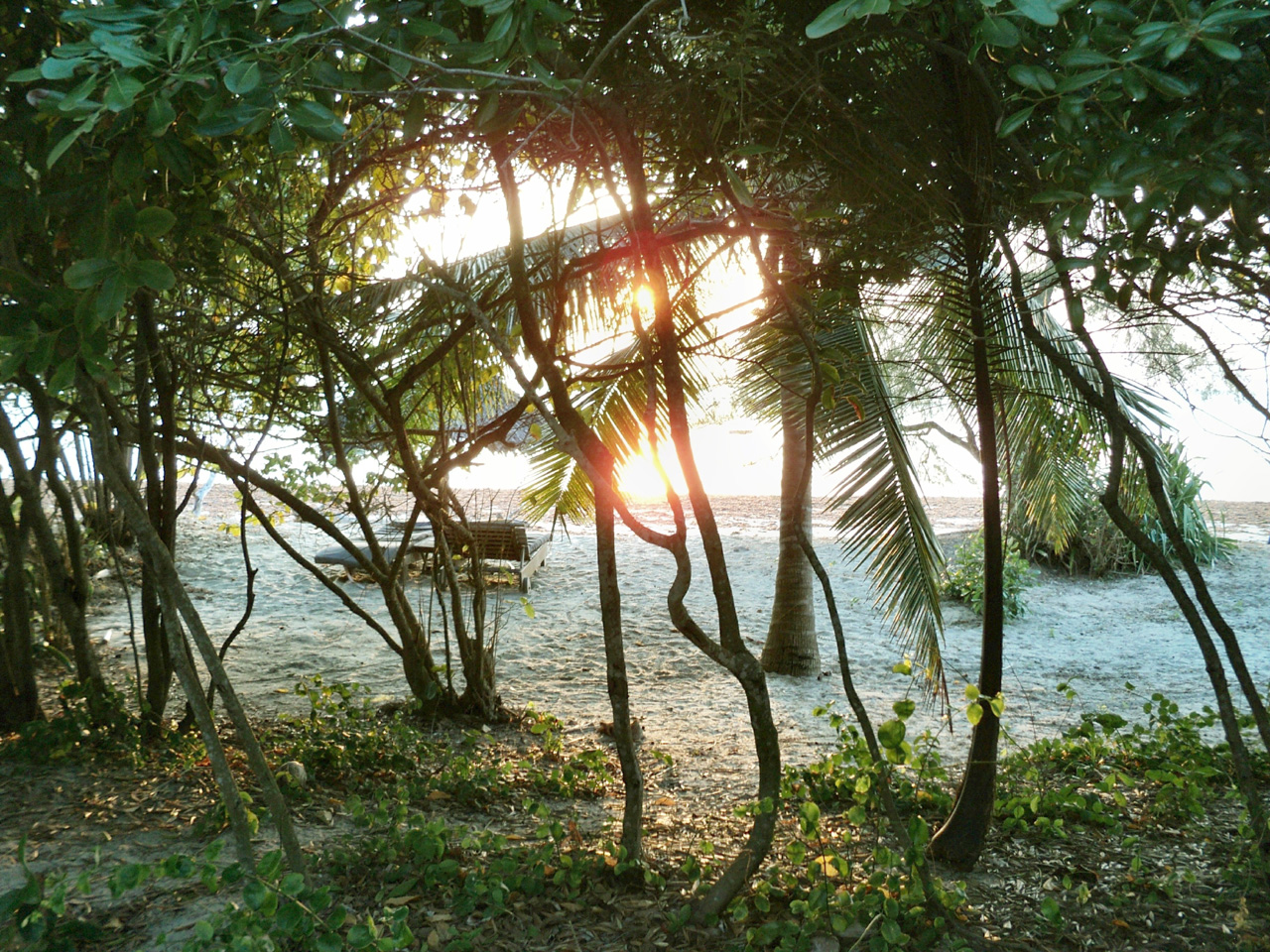 Strand