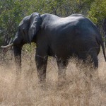 Weitere Bilder von der Reise