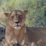 Weitere Bilder von der Reise