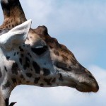 Weitere Bilder von der Reise