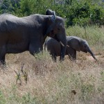Weitere Bilder von der Reise
