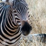 Weitere Bilder von der Reise