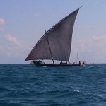 Bootsausflug