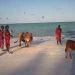 Impressionen vom Strand in Paje