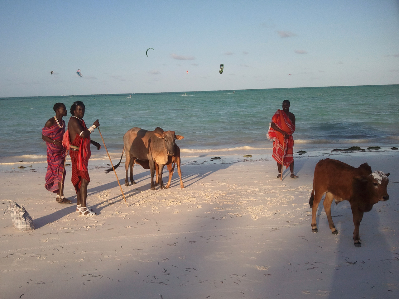 Impressionen vom Strand in Paje