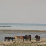 Fotos aus Tansania 2018